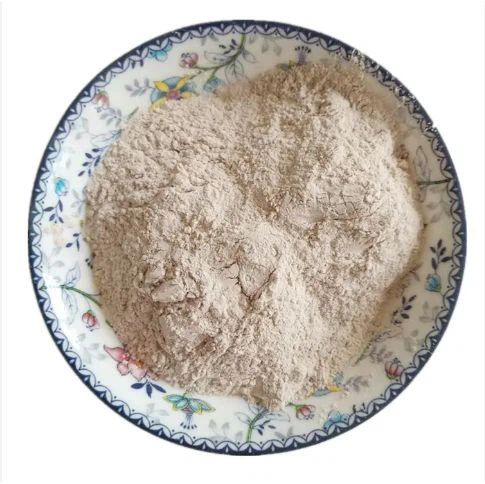 Plastering Gypsum